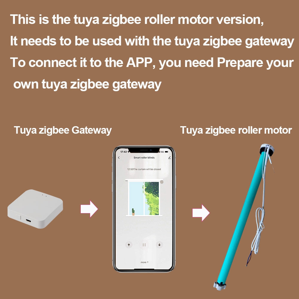 2N AC100-240V Tuya Zigbee Smar - Smart Home Youtube 评论和价格