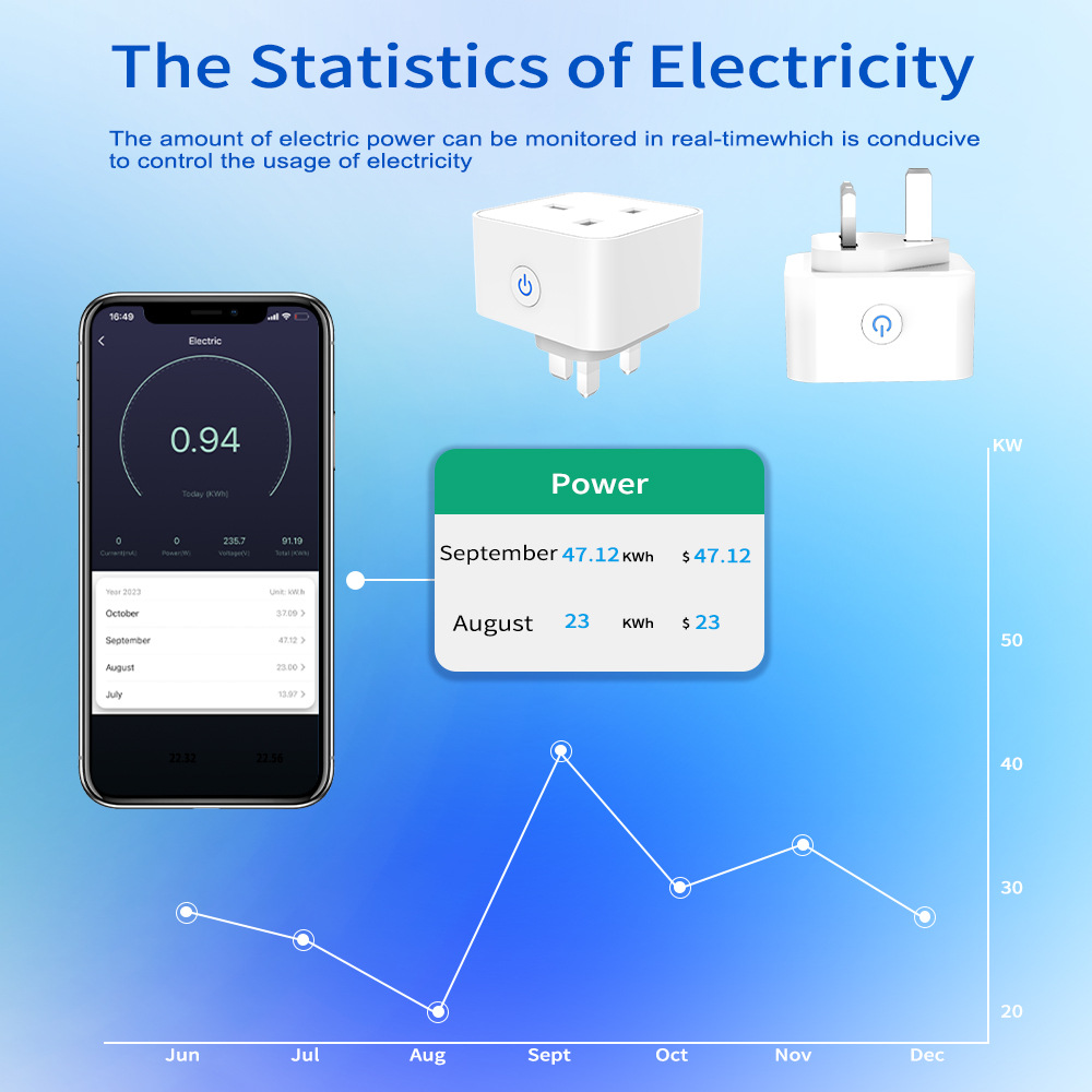 Tuya Smart Socket 16A/20A WiFi - Smart Home Wiser 评论和价格