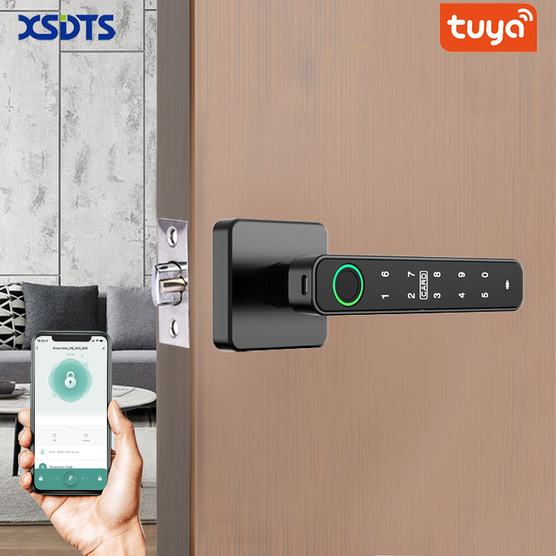 XSDTS Tuya Handle Fingerprint  - Smart Home Design 评论和价格