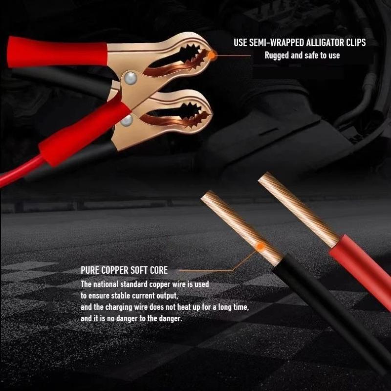 @*Smart 12V Universal Car Batt - Smart Home Life 评论和价格