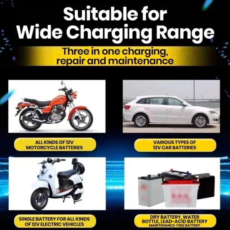 @*Smart 12V Universal Car Batt - Smart Home Life 评论和价格