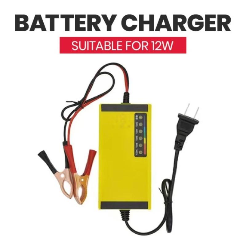 @*Smart 12V Universal Car Batt - Smart Home Life 评论和价格