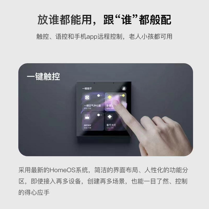 Graffiti Smart Central Control - Smart Home Panel 评论和价格